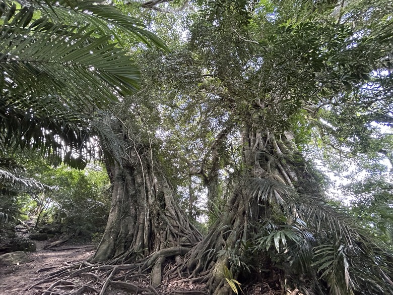 騎 上 秘 境 1 9 7 縣 道