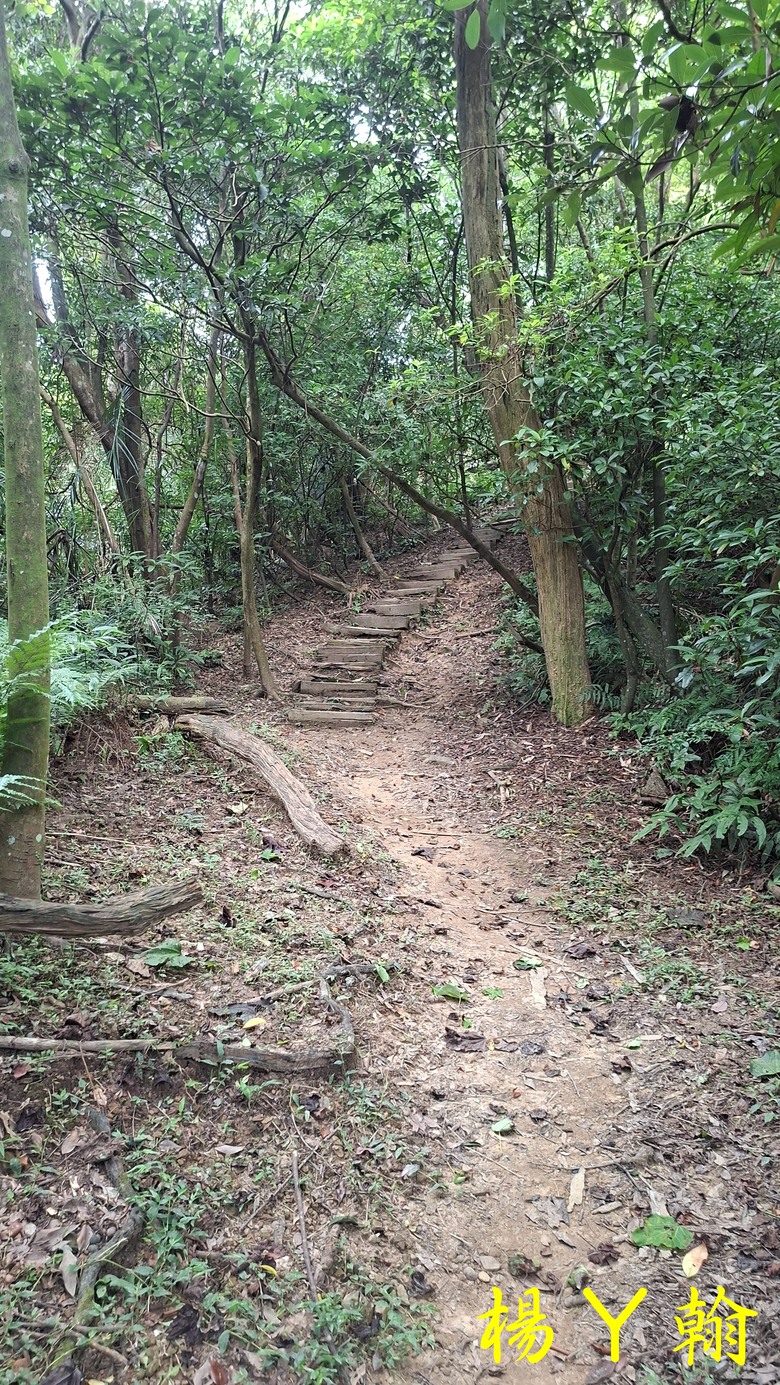 【郊山走走】汐止三山兩湖一峰+鷹石尖 環形縱走