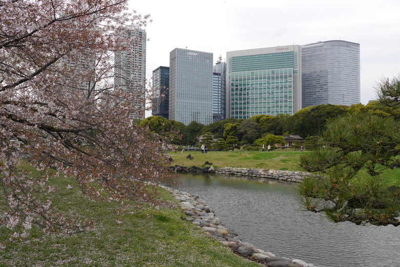 東京與東北自助鬼混 1