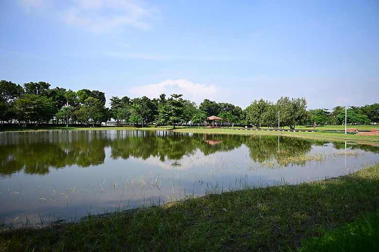 暗色型黃頭鷺的首次記錄，並介紹崁頂自然生態公園。