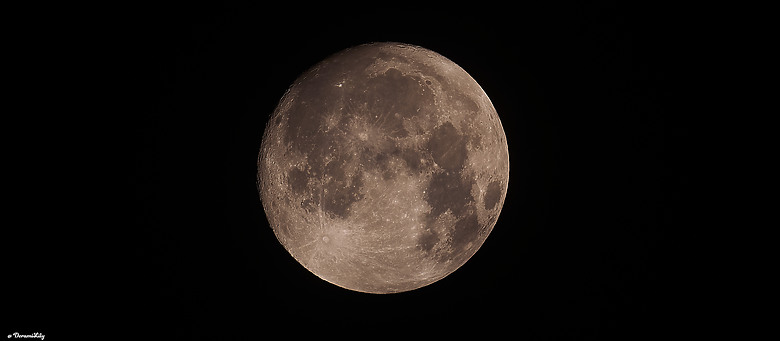 點我看大圖 披著 Sport 的 Art!Sigma 500mm f/5.6 DG DN OS Sports