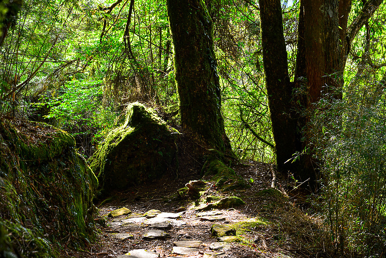 ***石水山***親民又有百岳景色的中級山