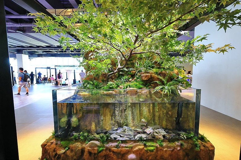 (映像旅行) 隨著河川上游一路“游”向大海，享受這座波光粼粼的美術館 in台中海洋館