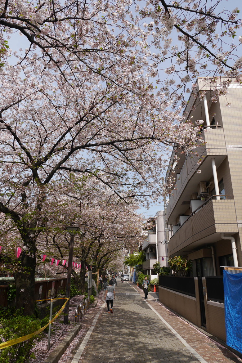 東京與東北自助鬼混 1