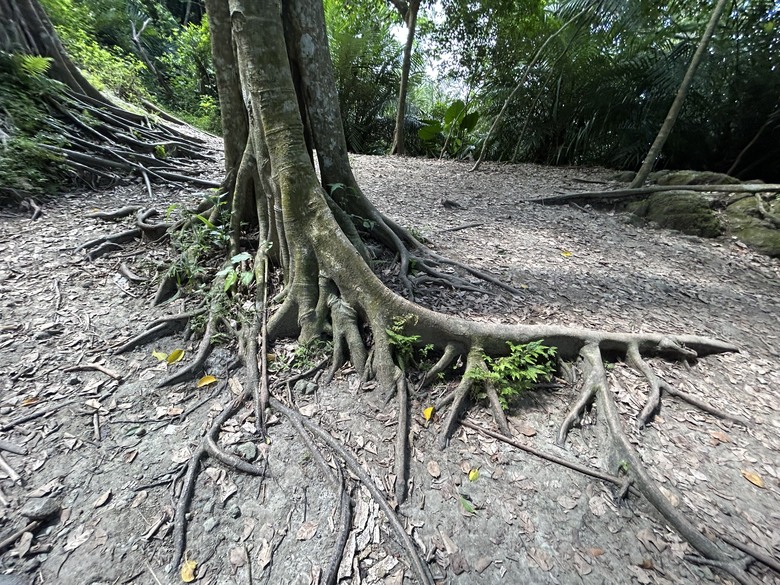 騎 上 秘 境 1 9 7 縣 道