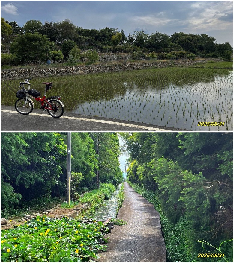返鄉面聖-台14與鳥嘴潭新局