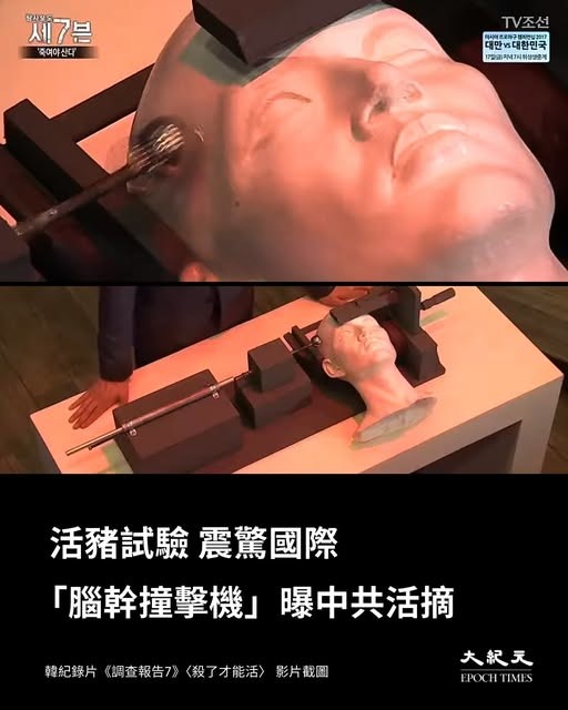 中共國研發的的「原發性腦幹損傷撞擊機」專利（專利號：CN201120542042於2011年12月申請，並在次年獲得批准。
