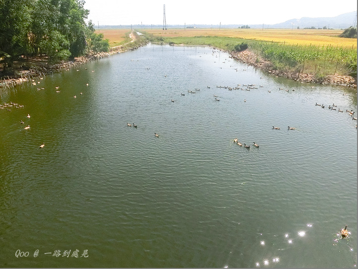 點我看大圖