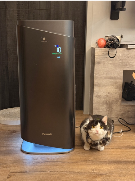 貓奴必備！Panasonic F-P90MH 使用心得分享