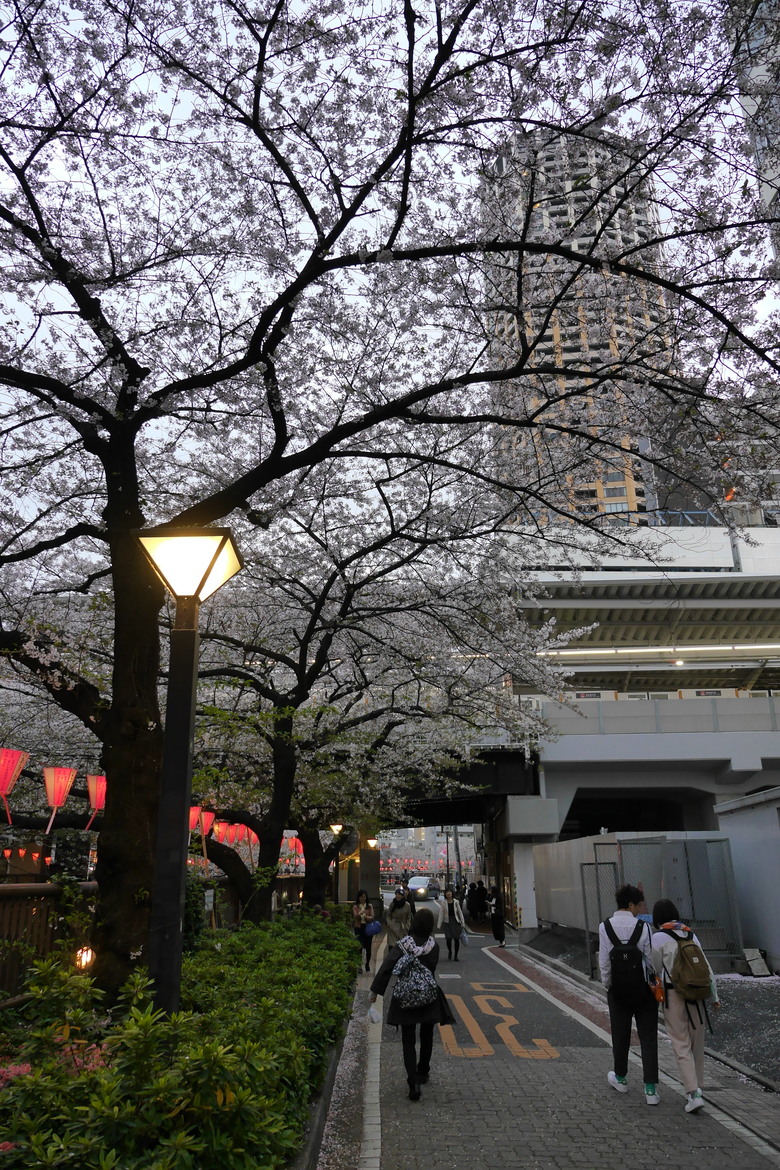 東京與東北自助鬼混 1