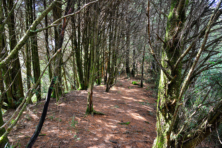 ***石水山***親民又有百岳景色的中級山