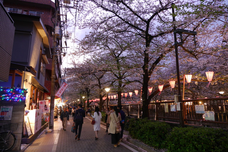 東京與東北自助鬼混 1
