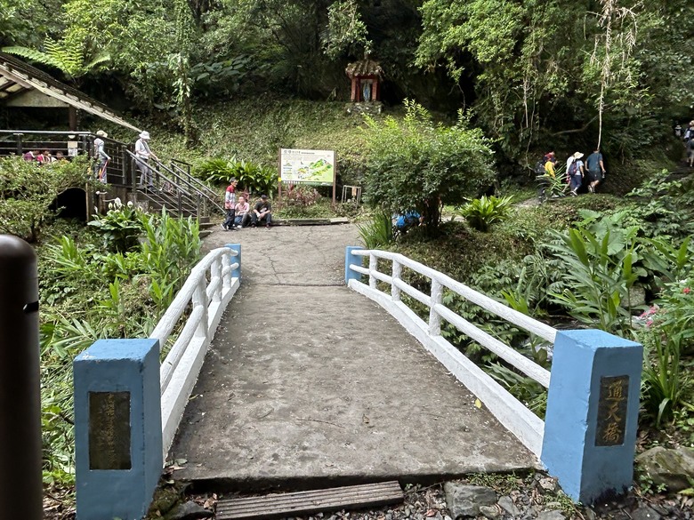 抹茶山上品抹茶(聖母登山步道)
