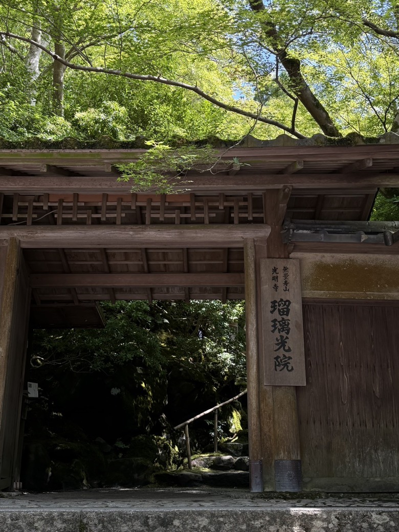 京都很好，但網卡很爛