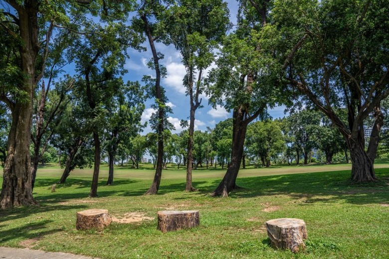 70公頃綠地新地標!果嶺自然公園打造高雄最大都會綠洲!