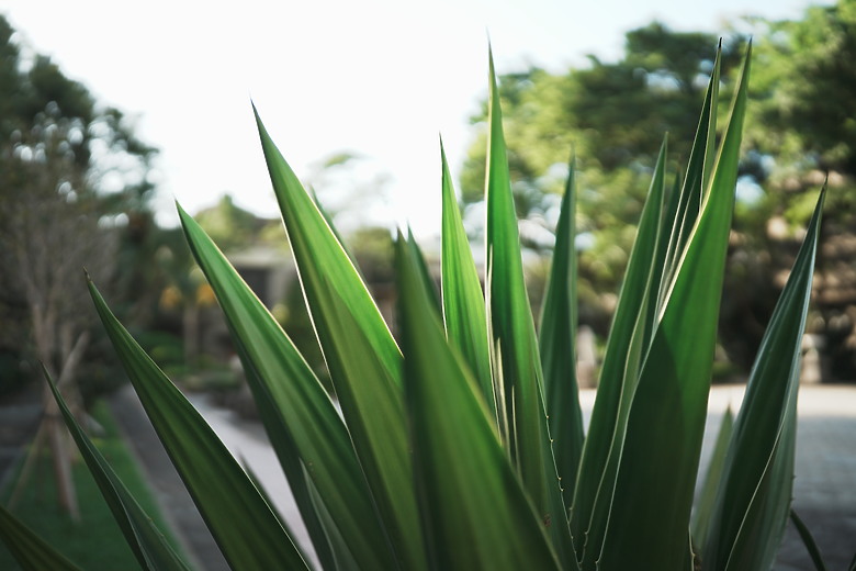 點我看大圖 Sigma 35mm f/1.2 DG II Art 評測報告|揮別「Bigma」、光學性能還更威!