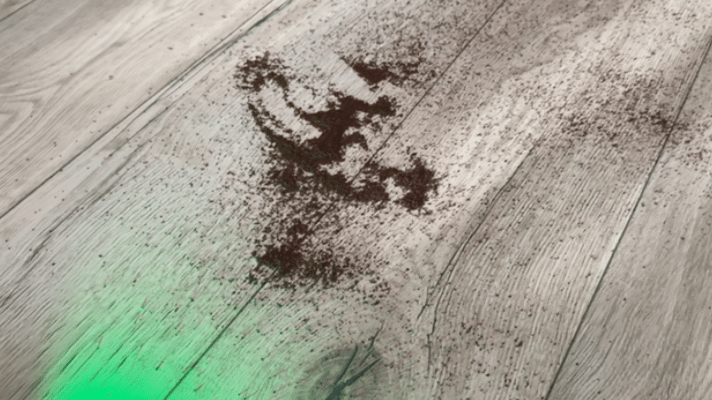 315AW 怪獸吸力＋雙錐無纏結設計，Dyson V16 Piston Animal 強悍精練清潔體驗