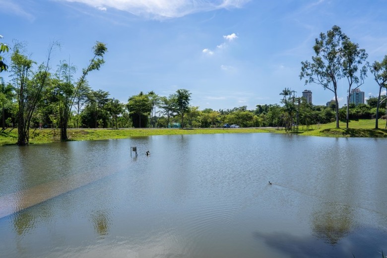 70公頃綠地新地標!果嶺自然公園打造高雄最大都會綠洲!