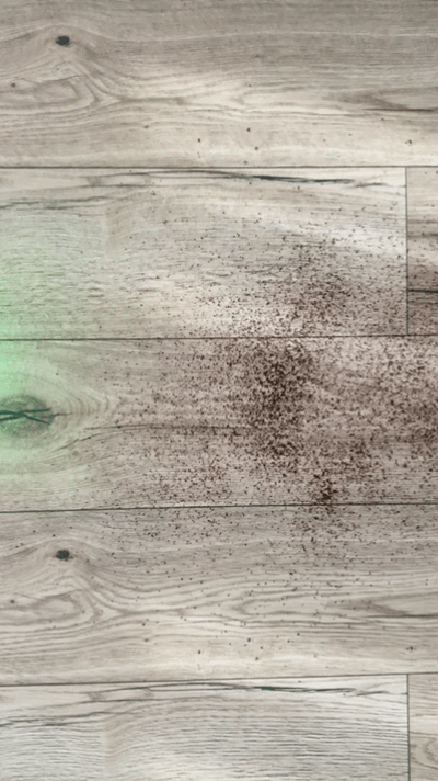 315AW 怪獸吸力＋雙錐無纏結設計，Dyson V16 Piston Animal 強悍精練清潔體驗