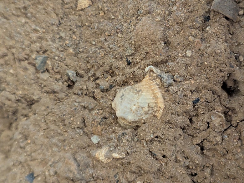 【南竿x馬祖x北竿】- 自助旅行(3天2夜)