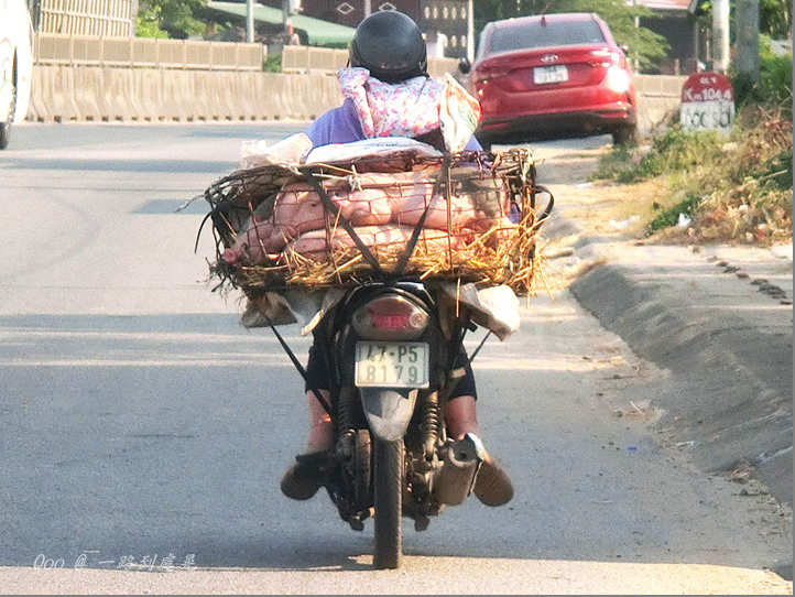 點我看大圖