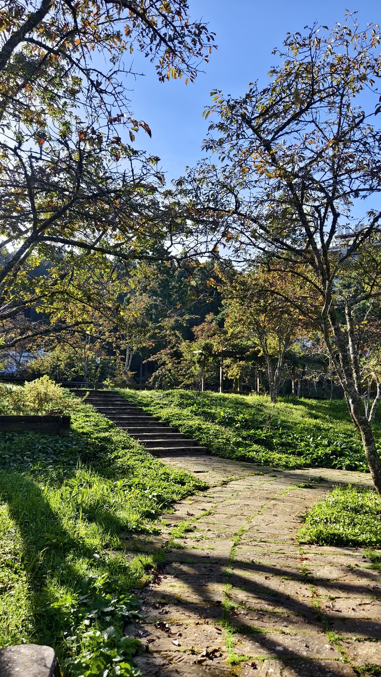 阿里山工作日記