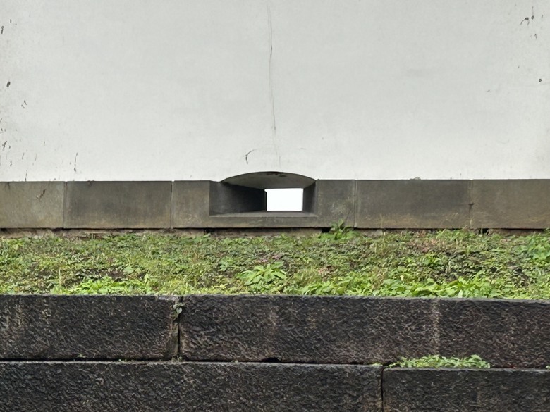 日 本 騎 遇 東 京 ( 下 集 )