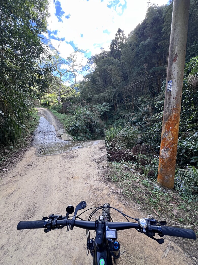 解鎖「苦茶嶺林道」-「訓導山」彎道錯綜複雜的「五星級」林道路線