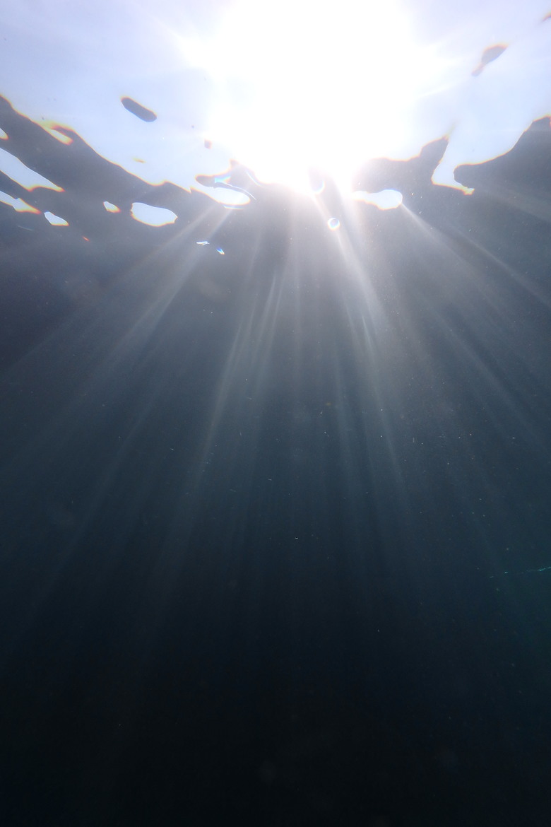 【上課+潛水】10月的水下影像紀錄