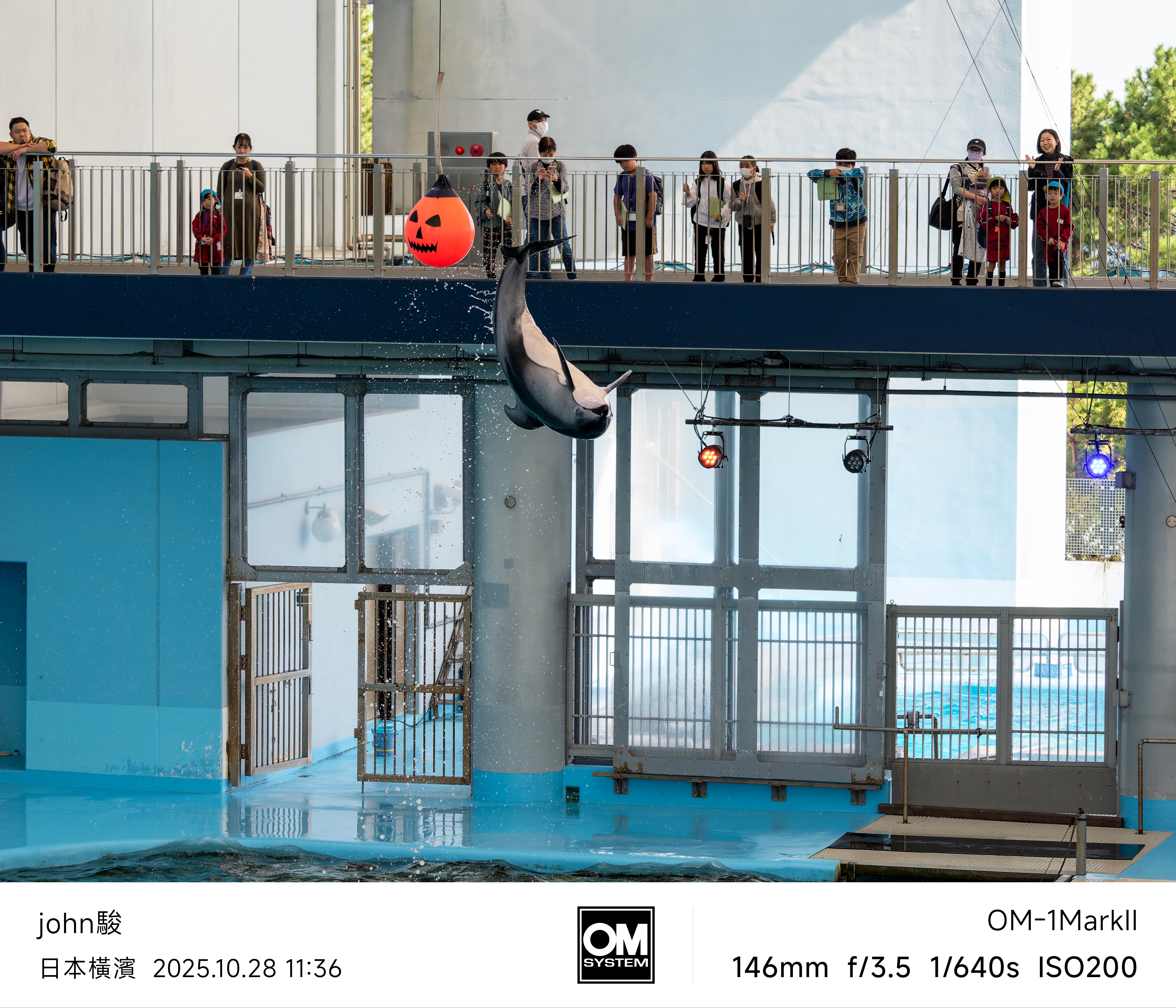 帶上om3&om1ii橫濱5日遊(出佳為奧的心得)