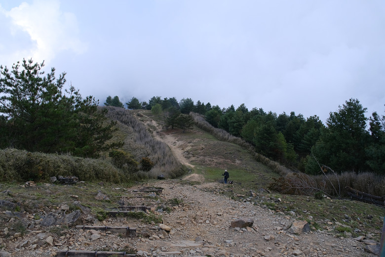 【塔塔加五連峰】玉山腳下最優美的一條登山步道