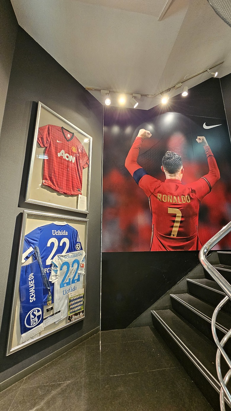 拉麵、銀杏、觀景台 - 2025最終回 一個人的東京吃貨之旅