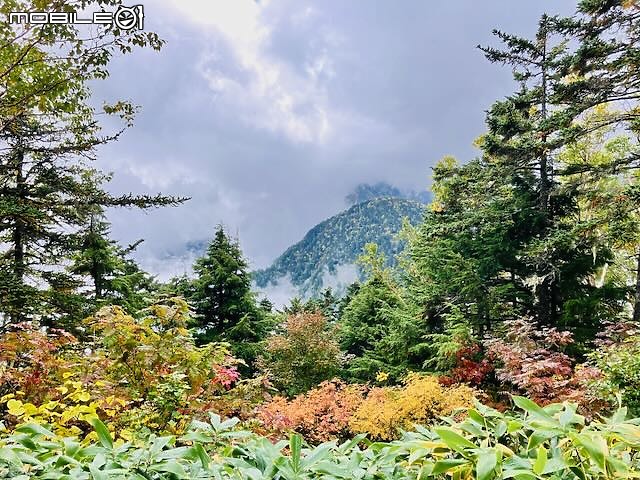 點我看大圖 日本北阿爾卑斯登山攻略:交通、路線與全景銀座縱走總整理(燕岳・大天井岳・常念岳・蝶ヶ岳)