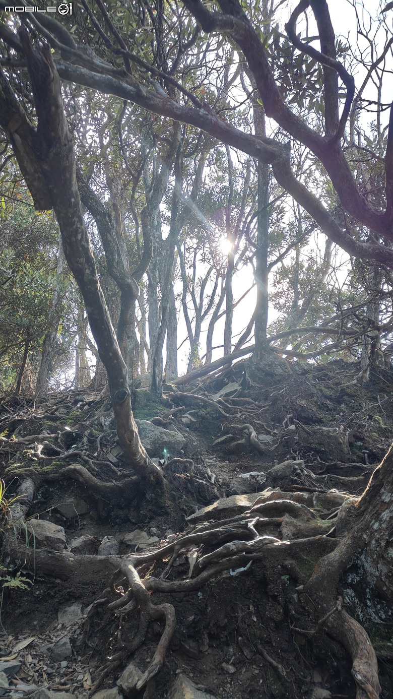 台北天氣不好-到中部爬山-谷關七雄-烏東縱走