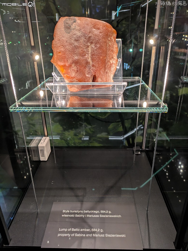 點我看大圖 波蘭: 格但斯克 邊走邊踩到歷史的城市~ (Gdansk)