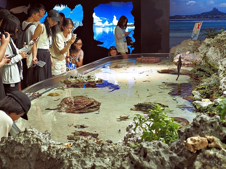 沖繩自助旅行不自駕交通攻略與景點簡述 — 泰越捷VZ568+VZ569、那霸機場入出境、當地GO及Uber、kkday包車接送、沖繩單軌(沖縄都市モノレール)、Air Porter 行李特工(運送) — 2025年教師節連假之日本沖繩不自駕四日之旅 — 「楔子」