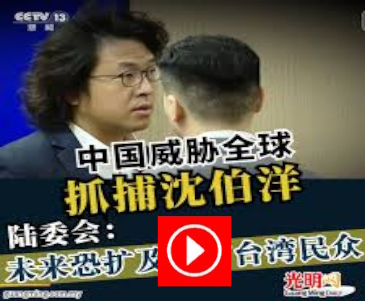 央視曝沈伯洋"發家史" 陸法律學者嗆：全球通緝