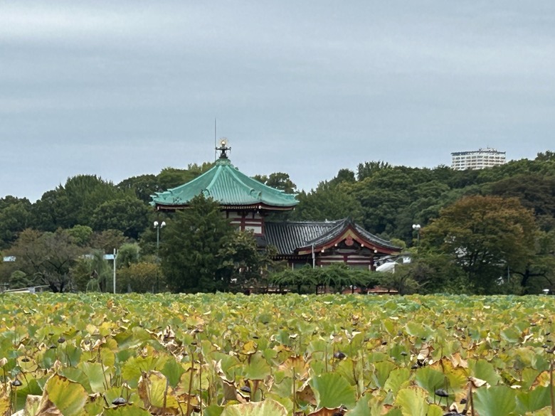 日 本 騎 遇 東 京 ( 上 集 )