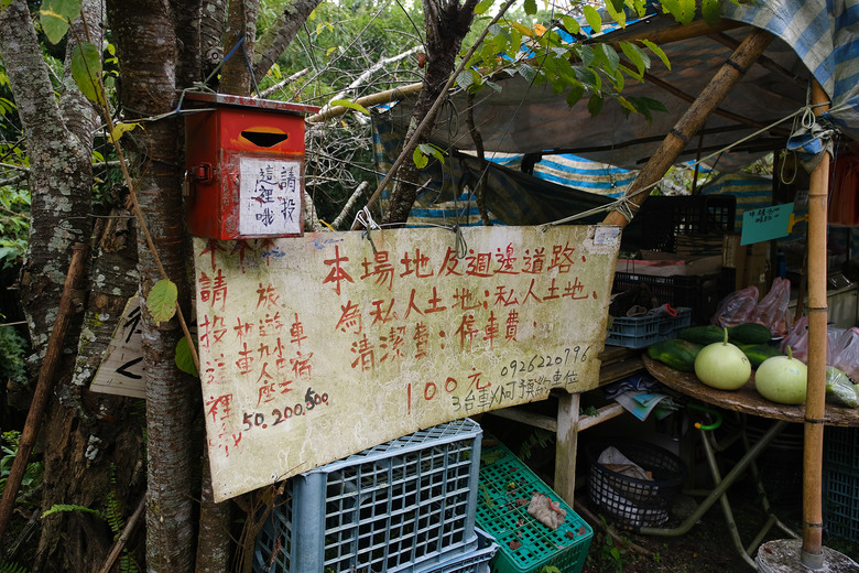 點我看大圖 【馬那邦山】遇見會讓人想戀愛的迷霧森林 | 苗栗楓葉小百岳