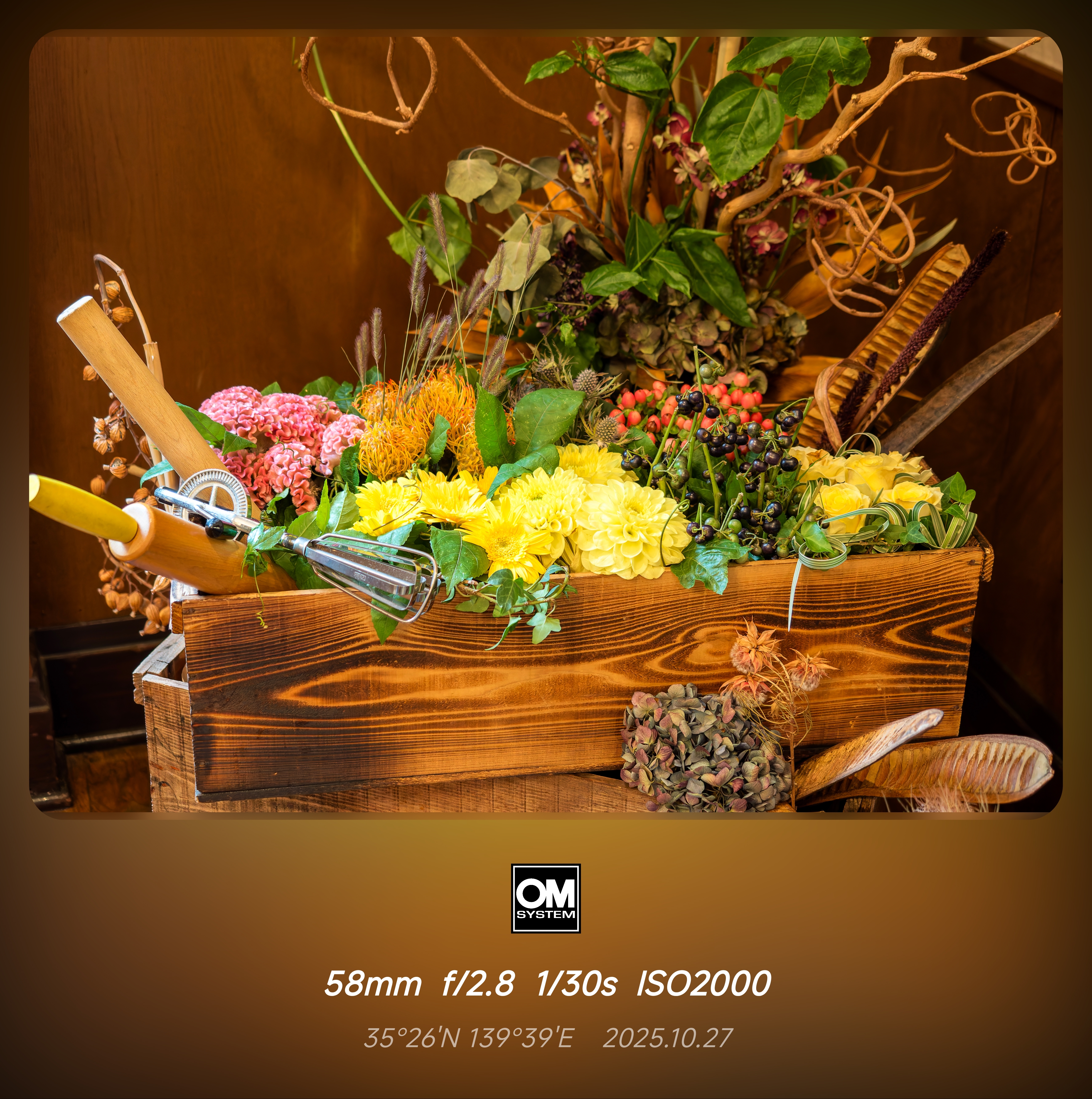 帶上om3&om1ii橫濱5日遊(出佳為奧的心得)