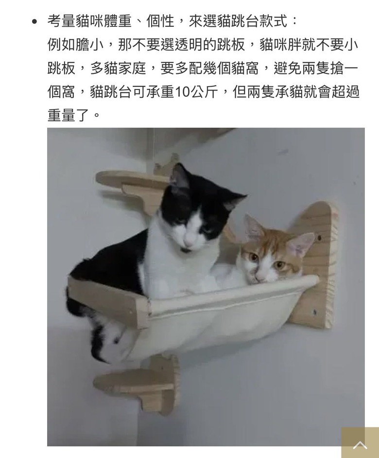 【黑特】Ollie設計上牆貓跳台（更新廠商回應、安裝師傅回應）