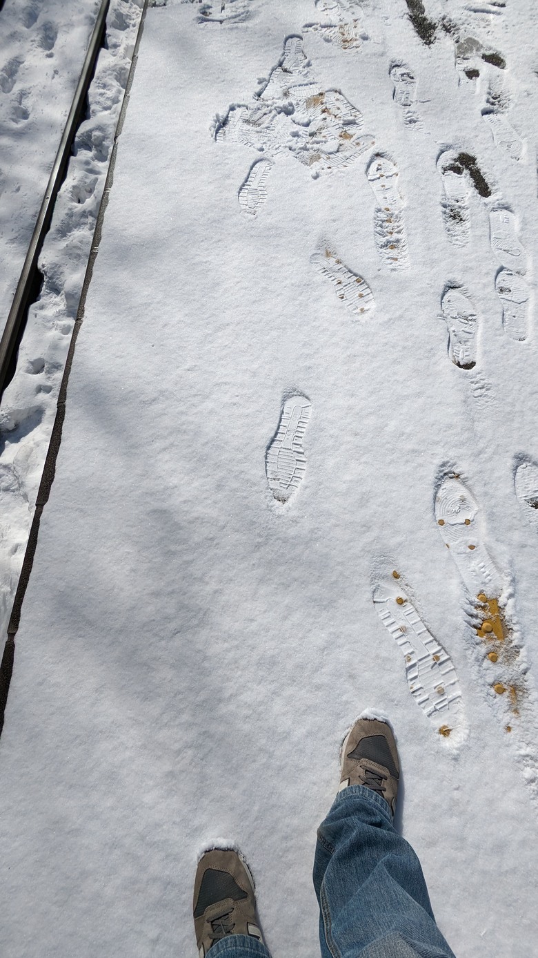 世界遺產 岩手平泉-毛越寺中尊寺
