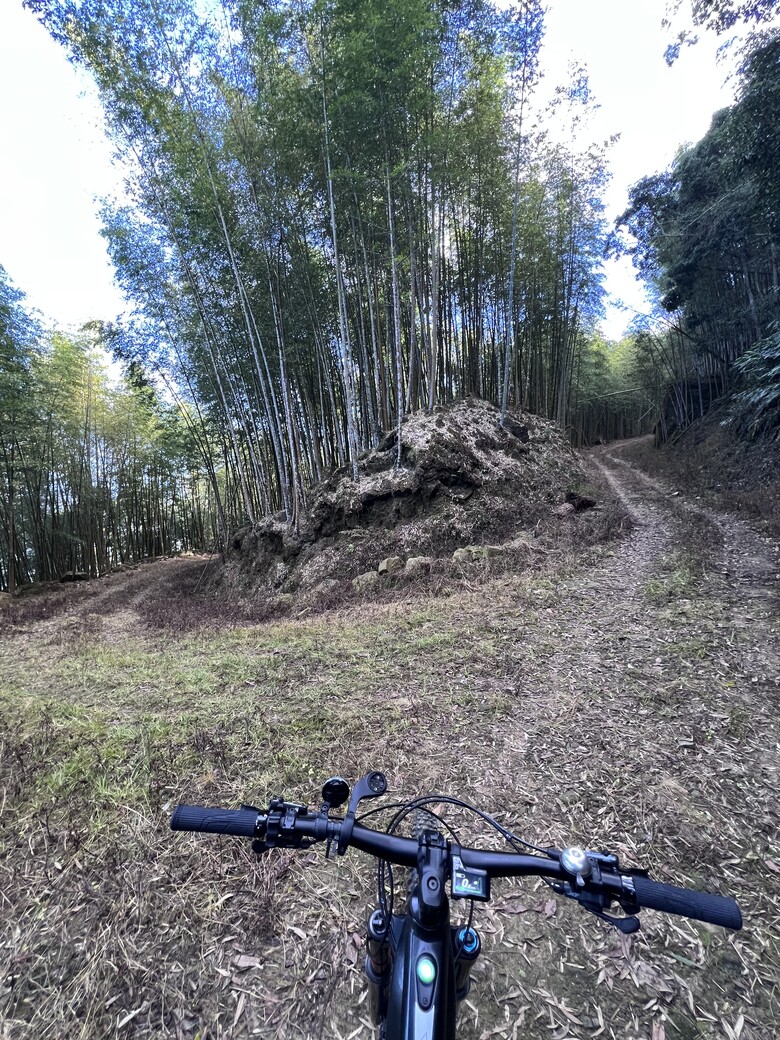 解鎖「苦茶嶺林道」-「訓導山」彎道錯綜複雜的「五星級」林道路線