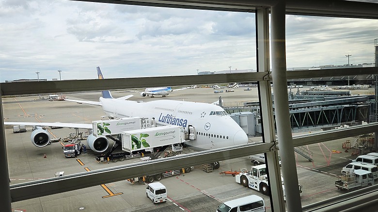 點我看大圖 拉麵、銀杏、觀景台 - 2025最終回 一個人的東京吃貨之旅