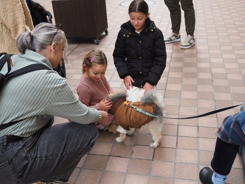 神戶元町商店街見聞