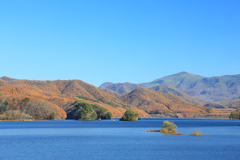 點我看大圖 (映像旅行)“EP1”在東京穿梭感受往昔時光、探訪會津若松末代武士的悲壯with日本東北賞楓自駕輕旅