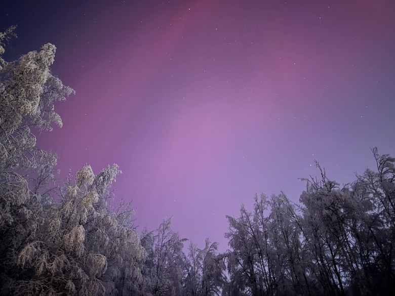 賭上人品的旅程！阿拉斯加Fairbanks親子極光自駕遊！