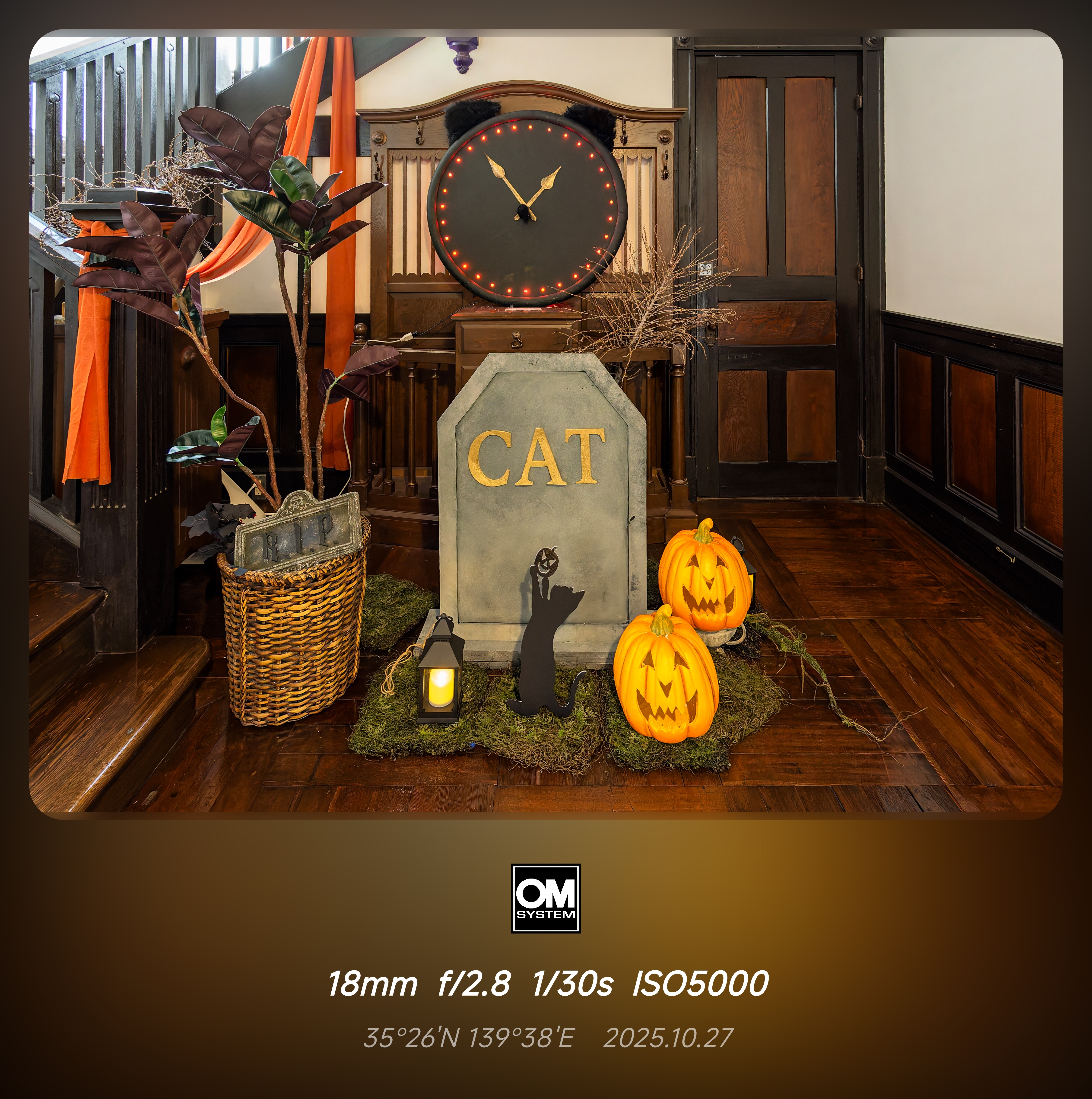 帶上om3&om1ii橫濱5日遊(出佳為奧的心得)