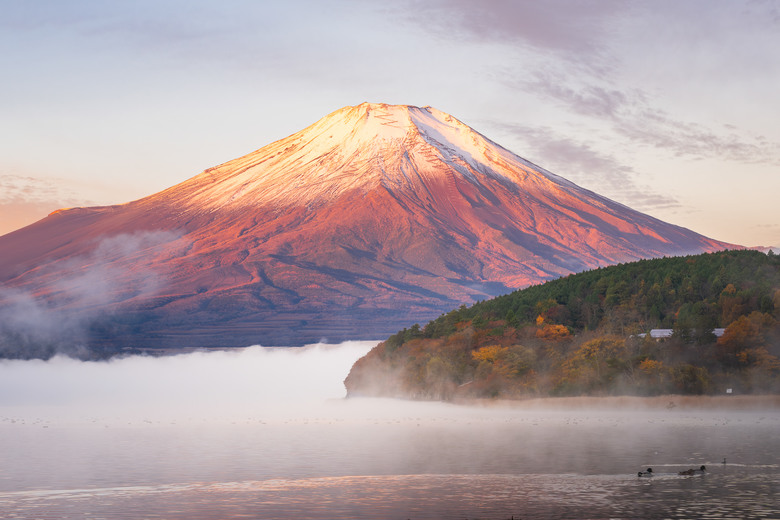 在富士山兩湖區嘗試新組合：Z8 + Sony 50-150 megadap etz21 pro+