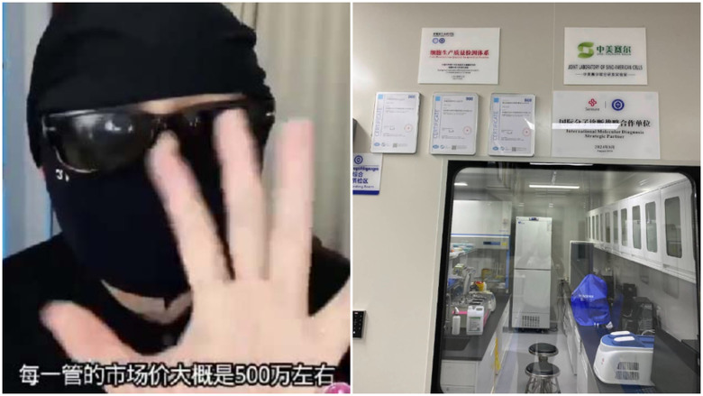 傳電詐園逼女性產嬰製「長生藥」 涉太子集團湘雅二醫院